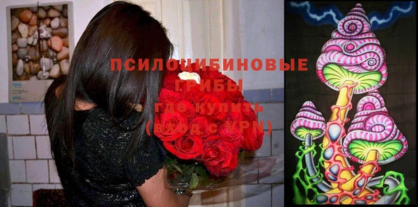 тгк Верхний Тагил