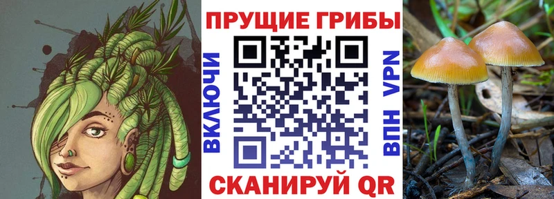 наркота Лысьва Галлюциногенные грибы MAGIC MUSHROOMS